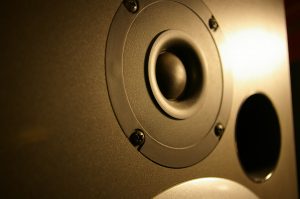 dvoicebox Speaker image 2