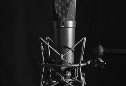 Neumann U87 microphone and shockmount close up Photo by Louis Radley