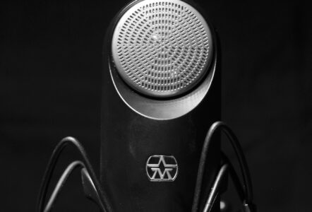 Aston Element microphone close up Photo by Louis Radley
