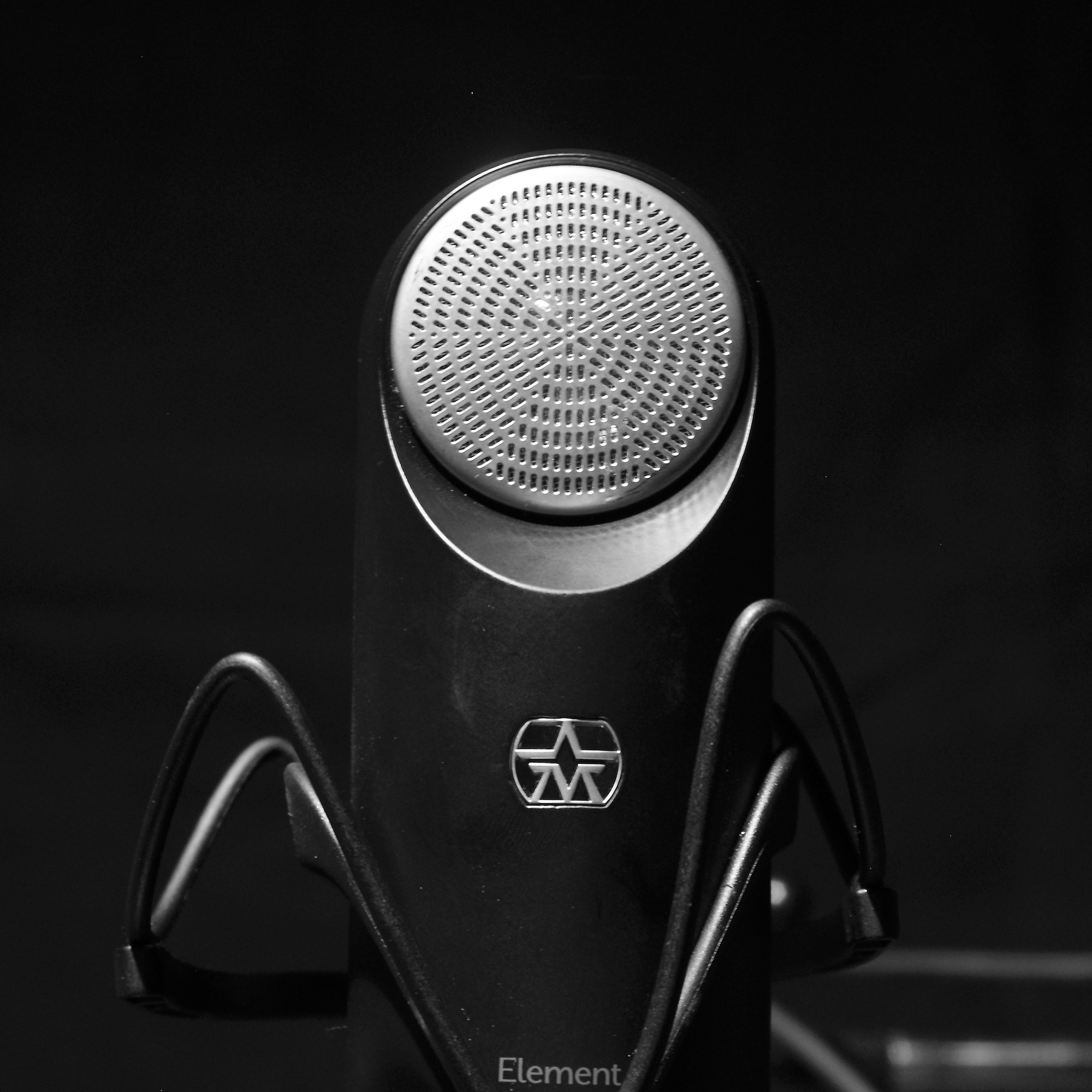 Aston Element microphone close up Photo by Louis Radley
