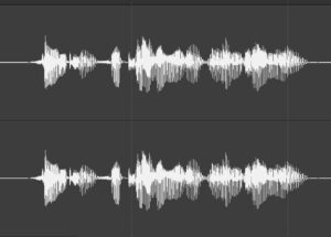 Voice waveform